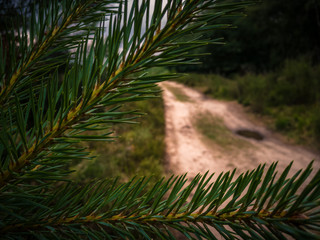 Obraz premium Moorland Landscapes