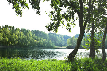 Summer lake landscape with beautiful water, lots of green vegetation and sunlight. - 163012088