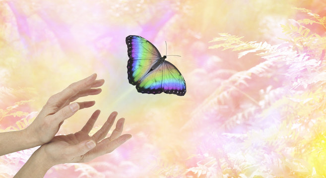 Symobolic Spiritual Release -  female hands with a large  rainbow colored butterfly moving away and up on an ethereal pink orange yellow  woodland background  depicting a departing soul 
