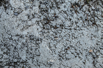 cement