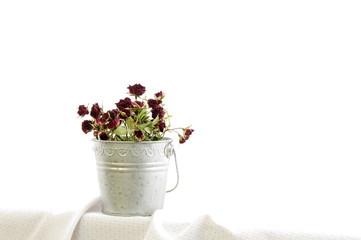 バラのドライフラワー