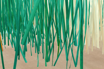  close up of  bamboo stripes