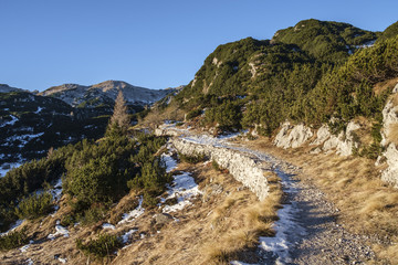 Fototapeta na wymiar Footpath in the Komna mountain range, Julian Alps.