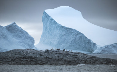Wide-angle shooting of a group of penguins on stones surrounded by icebergs and water. Andreev. - 163013485