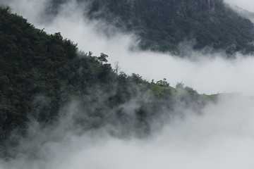 Mountain and Fog in Phetchabun Province, Thailand.