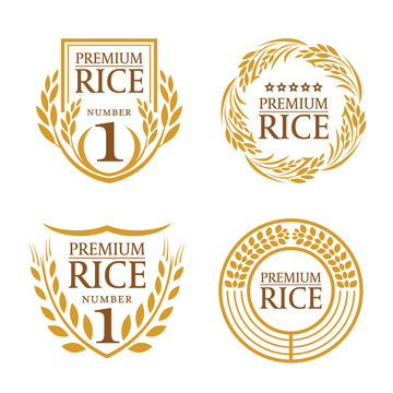 Orange brown paddy rice organic natural product banner logo vector design