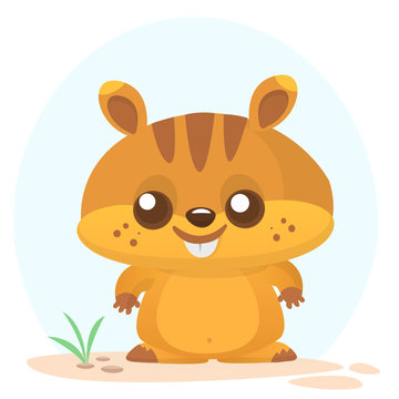 Cartoon marmot icon. Vector illustration of groundhog or chipmunk isolated