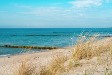 Fototapeta na wymiar Dünenlandschaft an der Ostsee 