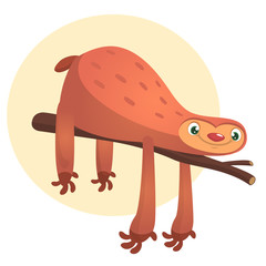 Cartoon sloth animal, Vector animal illustration.