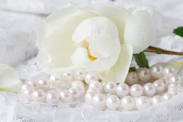 Fototapeta na wymiar English roses lay on a white lace.
