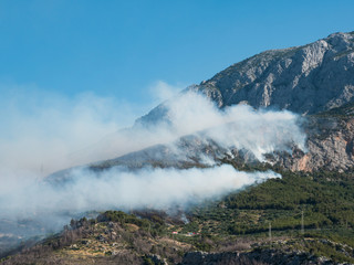 Large forest fire below mountain