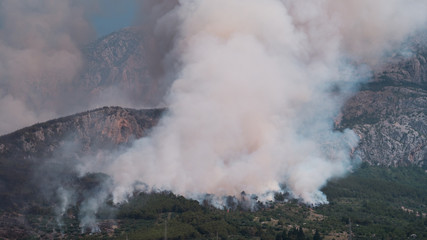Wild forest fire burning below mountain Biokovo in Croatia