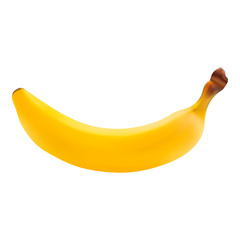 Single Fresh Banana Fruit Isolated On A White Background.