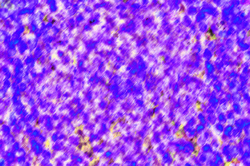 grunge blue,purple banner  background