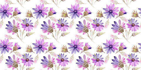 Wildflower immortelle flower pattern in a watercolor style. Full name of the plant: immortelle. Aquarelle wild flower for background, texture, wrapper pattern, frame or border.