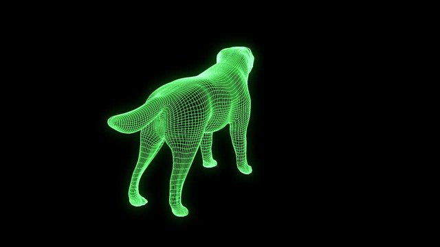 Dog in Hologram Wireframe Style. Nice 3D Rendering
