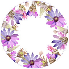 Wildflower immortelle flower frame in a watercolor style. Full name of the plant: immortelle. Aquarelle wild flower for background, texture, wrapper pattern, frame or border.