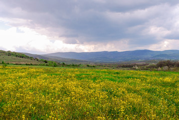 Flowering valley