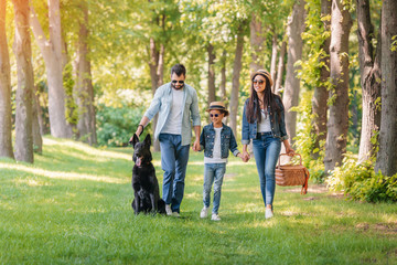 Naklejka na ściany i meble young happy interracial family with picnic basket walking with dog in forest