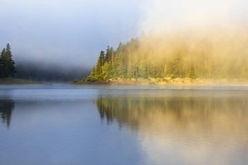Landscape with mountain forest, fog and lake in morning