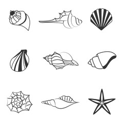 Sea shell vector illustration of line silhouettes