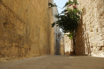 A typical street in Mdina, Malta also known as 