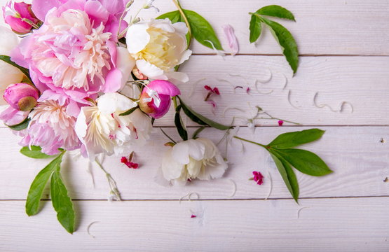 Stunning pink peonies on white rustic wooden background. Copy space