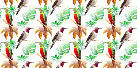 Fototapety  Sky bird colibri pattern in a wildlife by watercolor style. Wild freedom, bird with a flying wings. Aquarelle bird for background, texture, pattern, frame, border or tattoo.