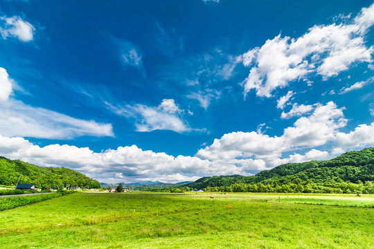 Fototapeta 北海道 大自然 牧場