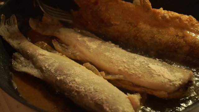 Pike river fried in a skillet