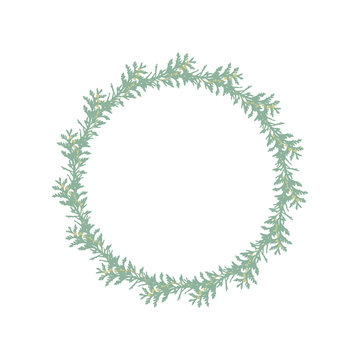 Vector botanical illustration with a wreath made of fir tree  branches and berries.