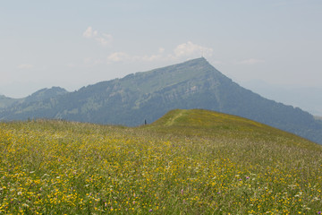 Gnipen und Rigi Gipfel, Schweiz