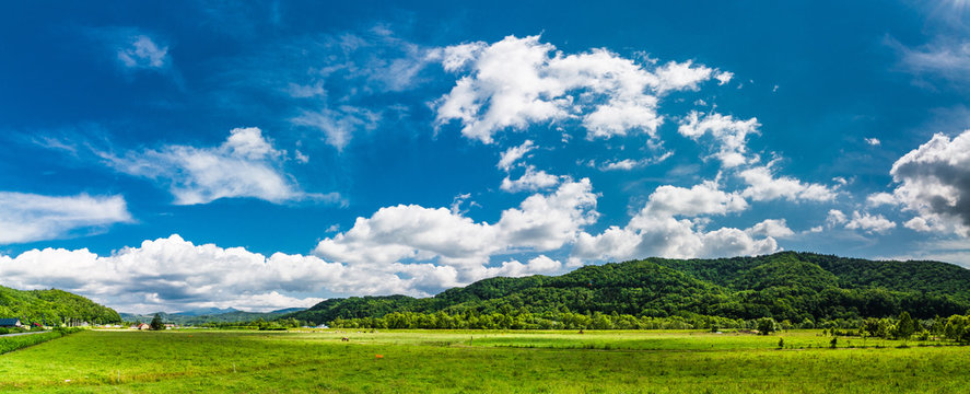 北海道 大自然 牧場
