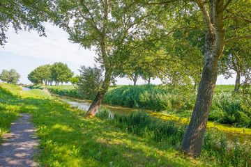 Canal in a rural landscape in summer
