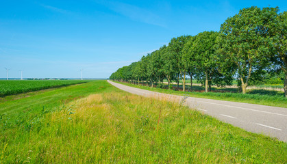 Naklejka premium Road in a rural landscape in summer