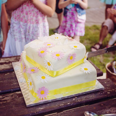 Blooming wedding cake with butterfly