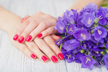 Fototapeta premium Beautiful woman hands with pink manicure and purple wild flowers