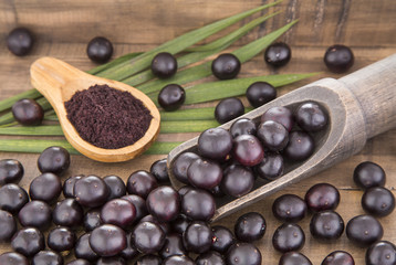 The amazon acai fruit (Euterpe oleracea)