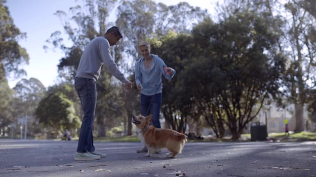 Owner Tells His Dog To Spin In Circle And Sit, Then Gives Dog A Treat, His Boyfriend Holds The Leash