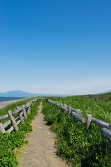 初夏の小清水原生花園とオホーツク海の風景