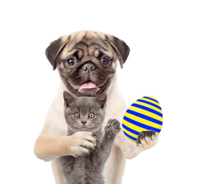 Cat and dog with Easter egg. Isolated on white background