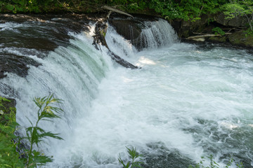 北海道清里町にあるサクラマスが滝超えする季節のさくらの滝