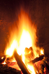 Bonfire at night Photography