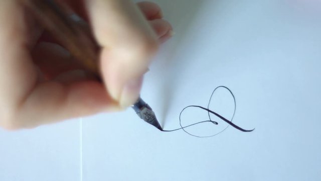 Female hand draws calligraphy vintage lines