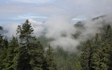 Grouse Mountain, Vancouver, Canada