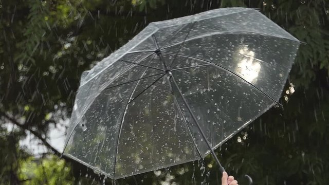 Rain hitting umbrella in heavy rain, slow motion. 