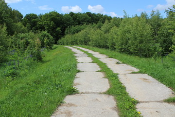 Turn the road in the forest lined with concrete slabs against the background of green trees.