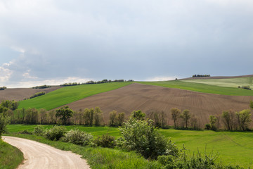 Fototapeta premium Green meadows and plowed fields