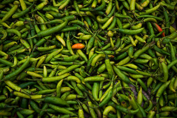 Green Chilli Peppers