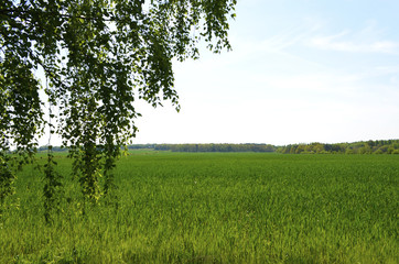 View over green fields in the surrounding countryside of Berlin